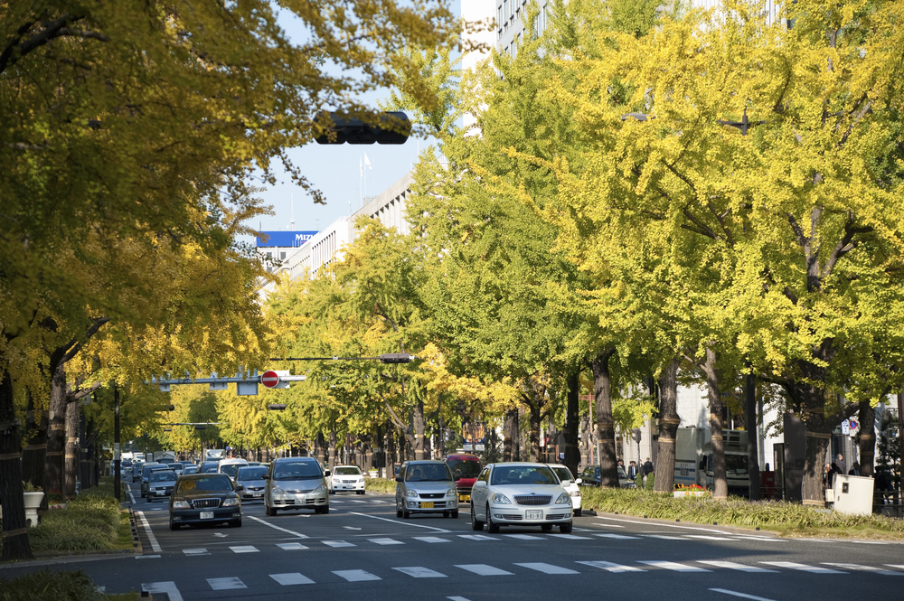 Avenida Midosuji em Osaka no outono