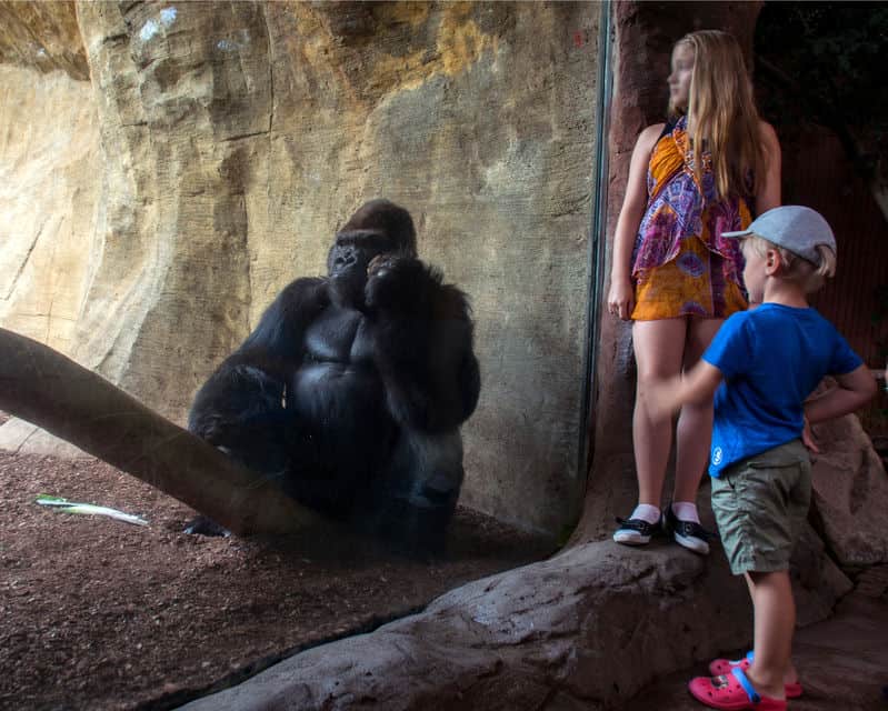 O Bioparc Fuengirola, na Costa del Sol
