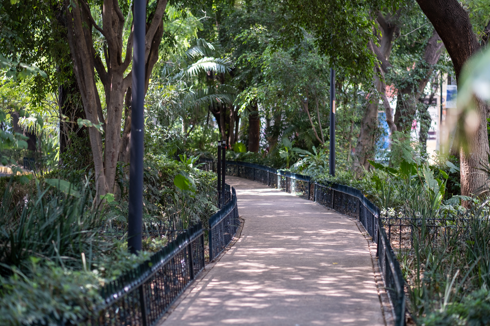 O calçadão central arborizado da Avenida Ámsterdam, em Condesa, na Cidade do México