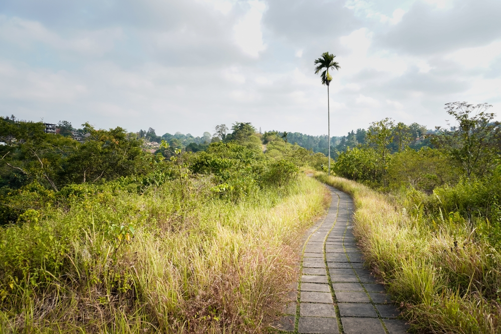 Campuhan Ridge Walk, perto de Ubud, sob o sol da manhã