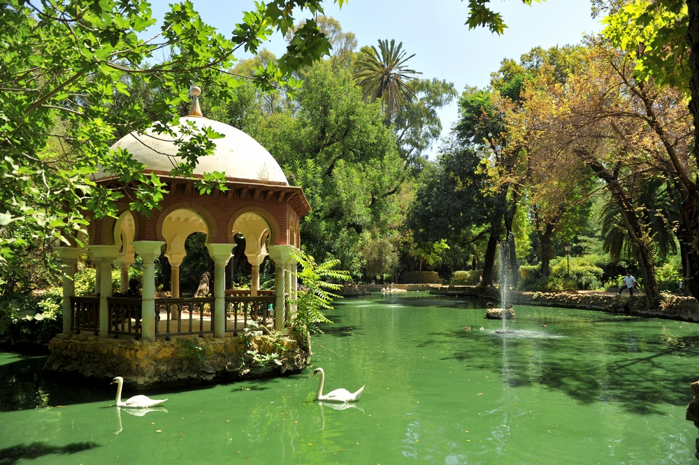 Cisnes no lago dos patos junto ao pavilhão do Parque de María Luisa, em Sevilha