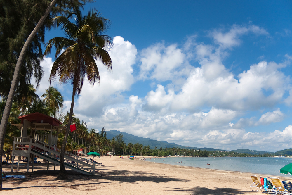 Coqueiros ao longo da praia de Luquillo, em Porto Rico