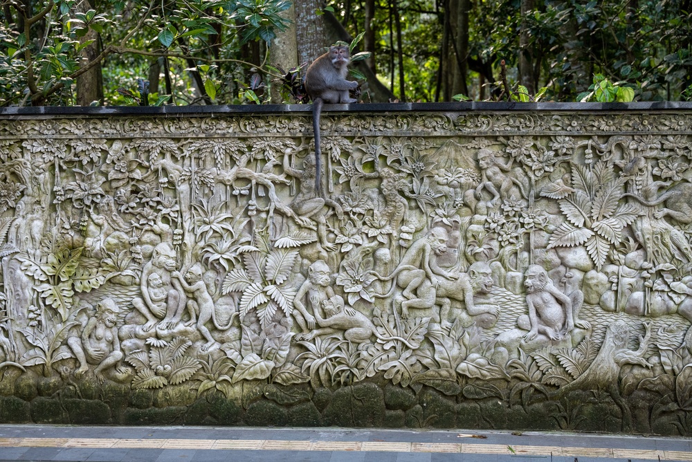 Macaco sobre um relevo de pedra na Monkey Forest de Ubud