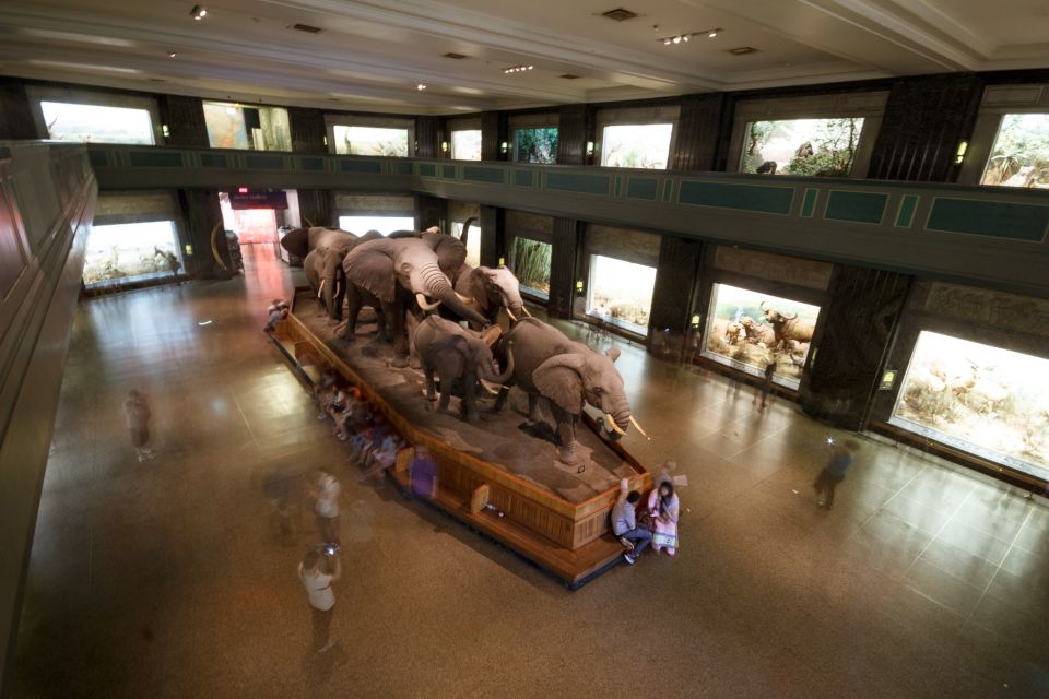 Museu de História Natural de Nova York