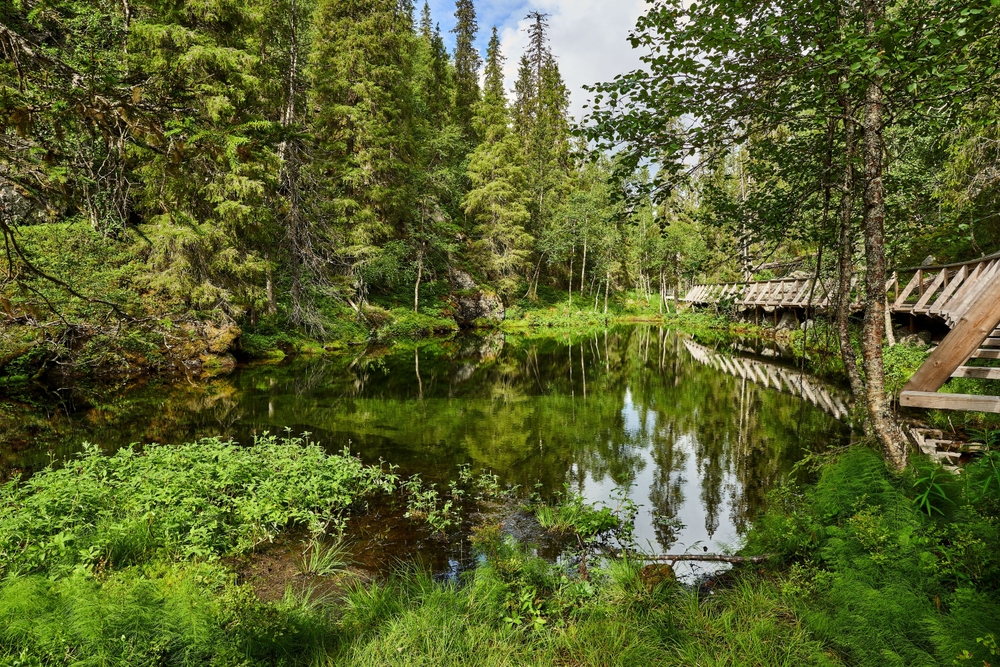 Natureza no Parque Nacional Pyhä-Luosto, perto de Luosto, na Lapônia