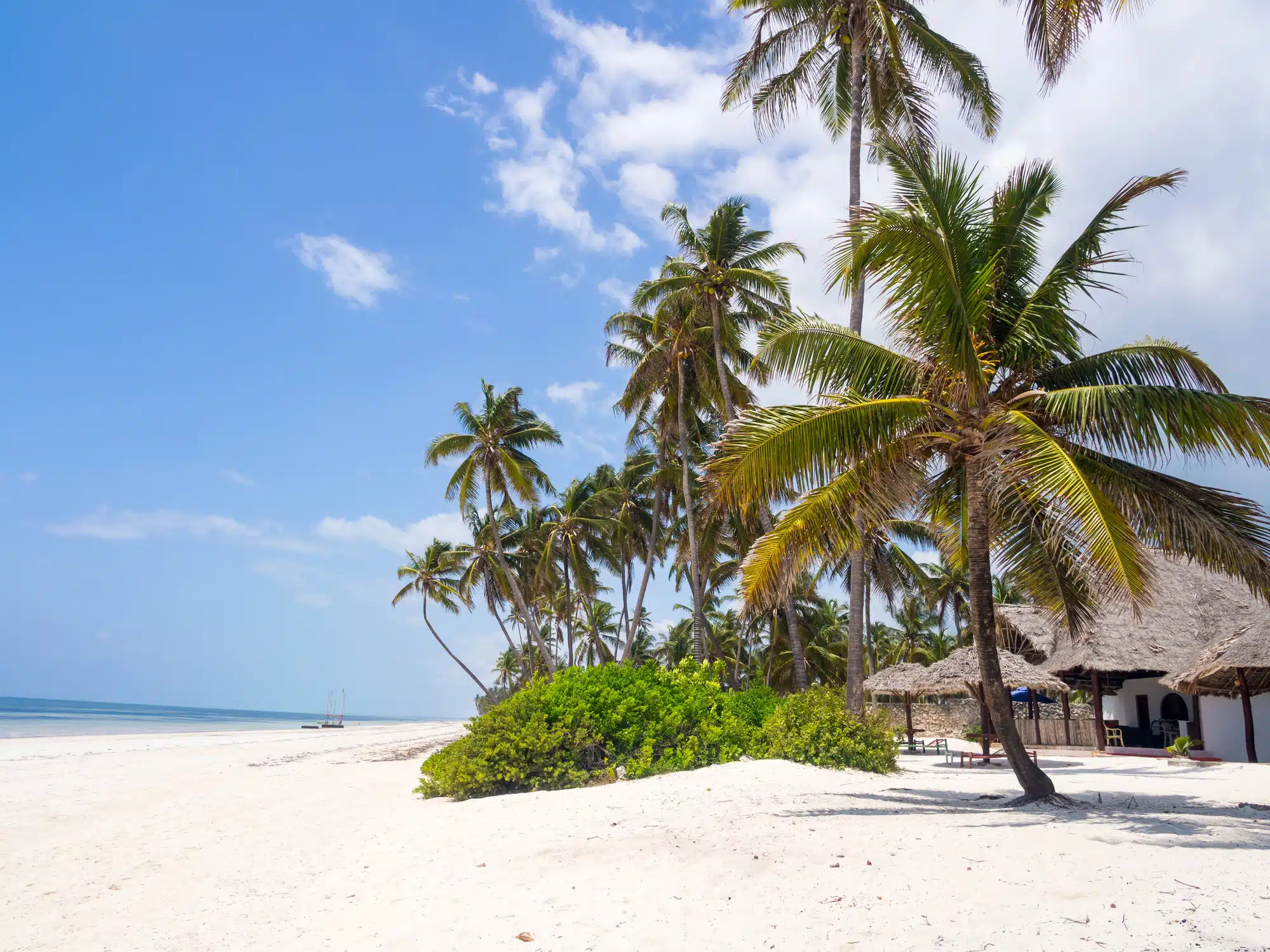 Paje, melhor lugar para ficar em Zanzibar para um clima jovem e descontraído