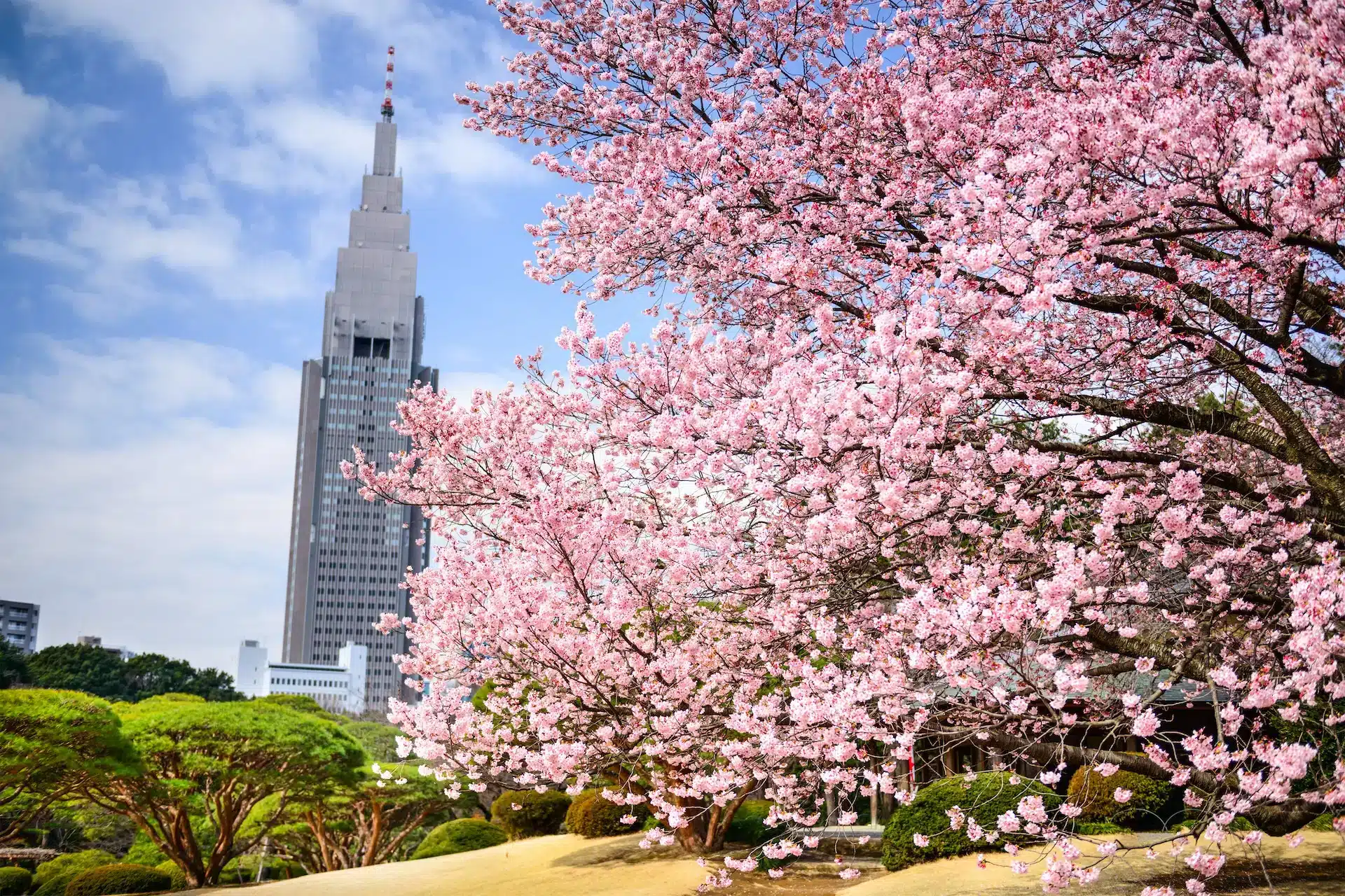 Parque Shinjuku Gyoen