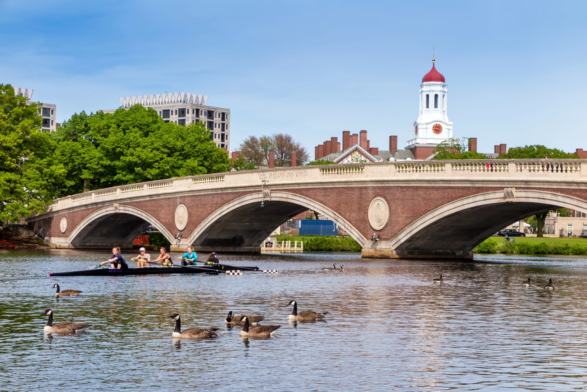 Ponte de tijolos em arcos sobre o rio Charles, com árvores e uma torre de Cambridge ao fundo