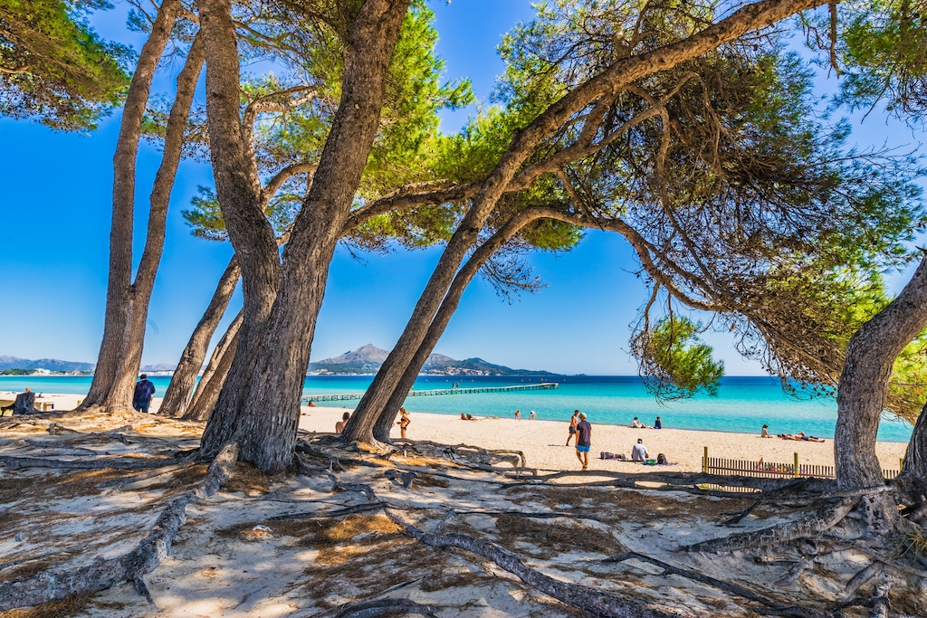 Praia de Can Picafort, Maiorca