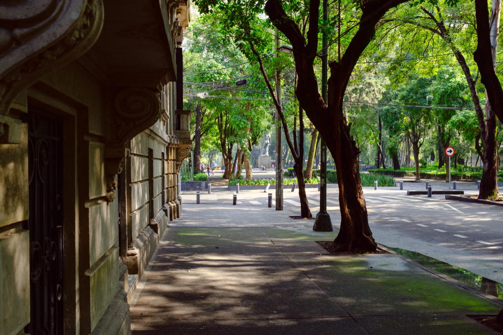 Rua no bairro Roma Norte, na Cidade do México