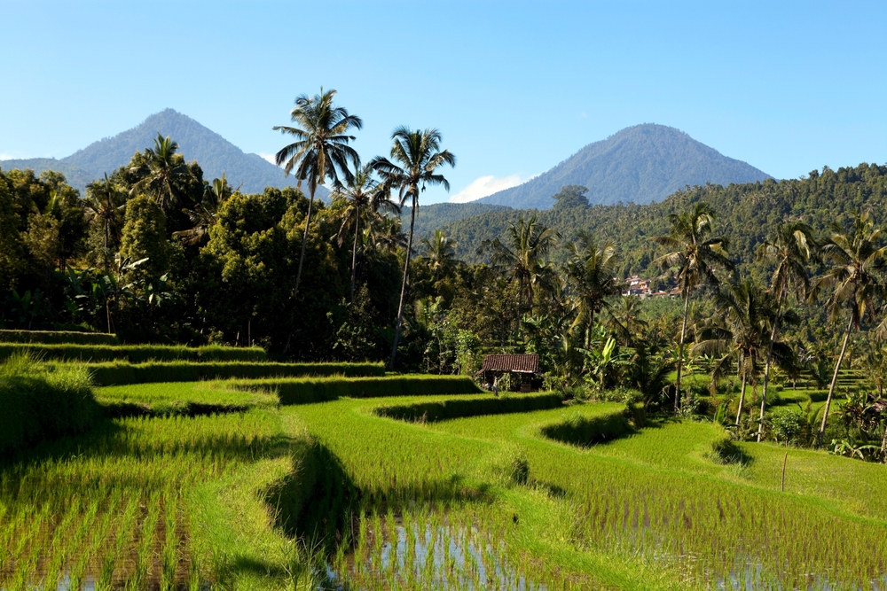 Terraços de arroz de Jatiluwih, em Bali