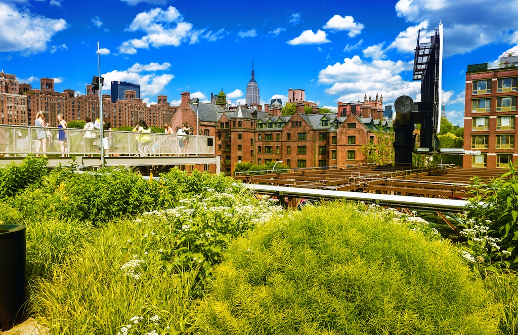 the high line