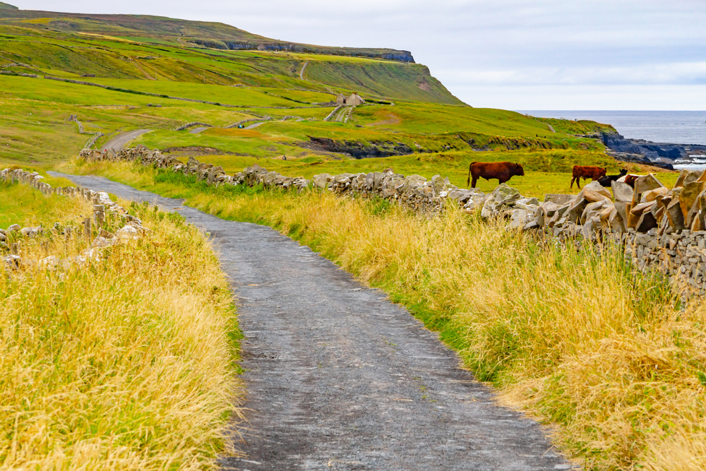 O vilarejo de Doolin, com casas e campos, no Condado de Clare